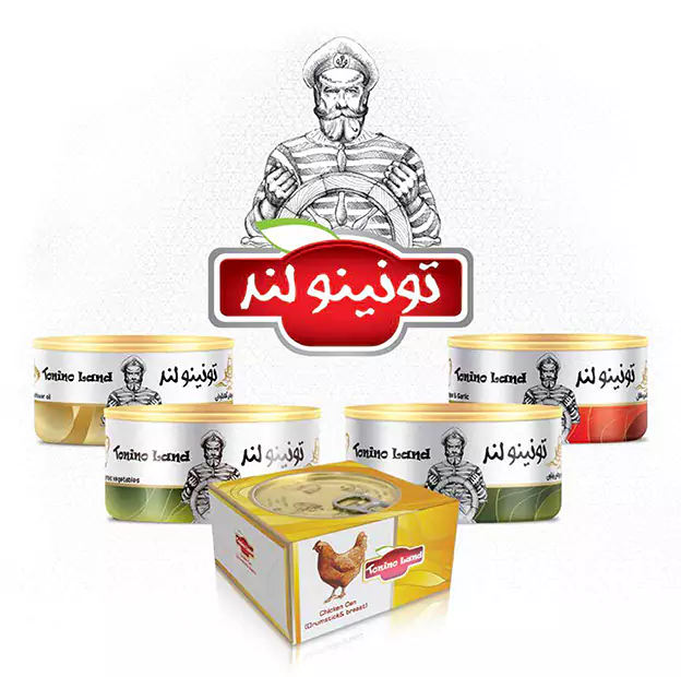 معرفی شرکت تونینولند